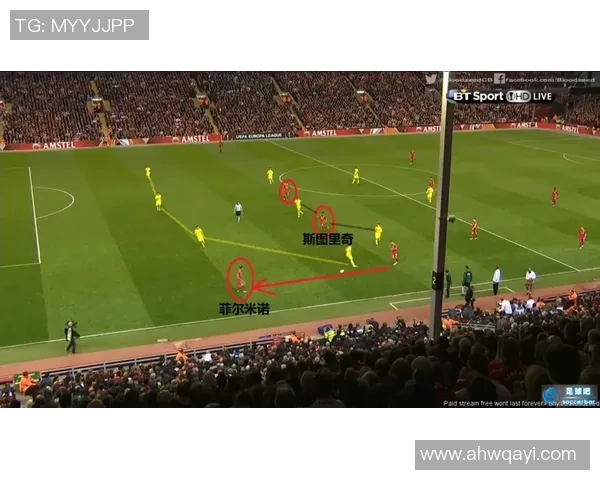 全球足球巨星全景解析与个人成就深度剖析